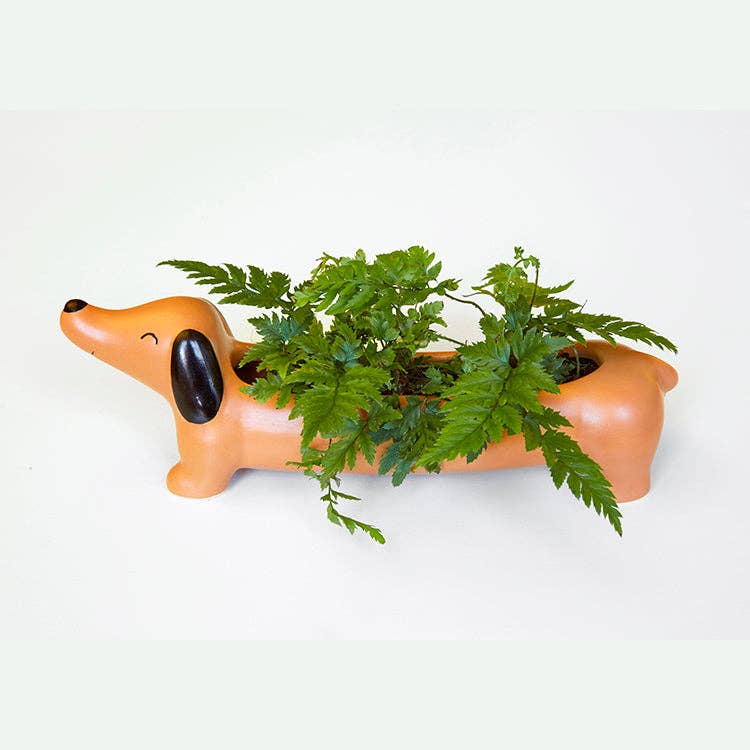 Kikkerland Design Inc - Daisy The Dachshund Planter