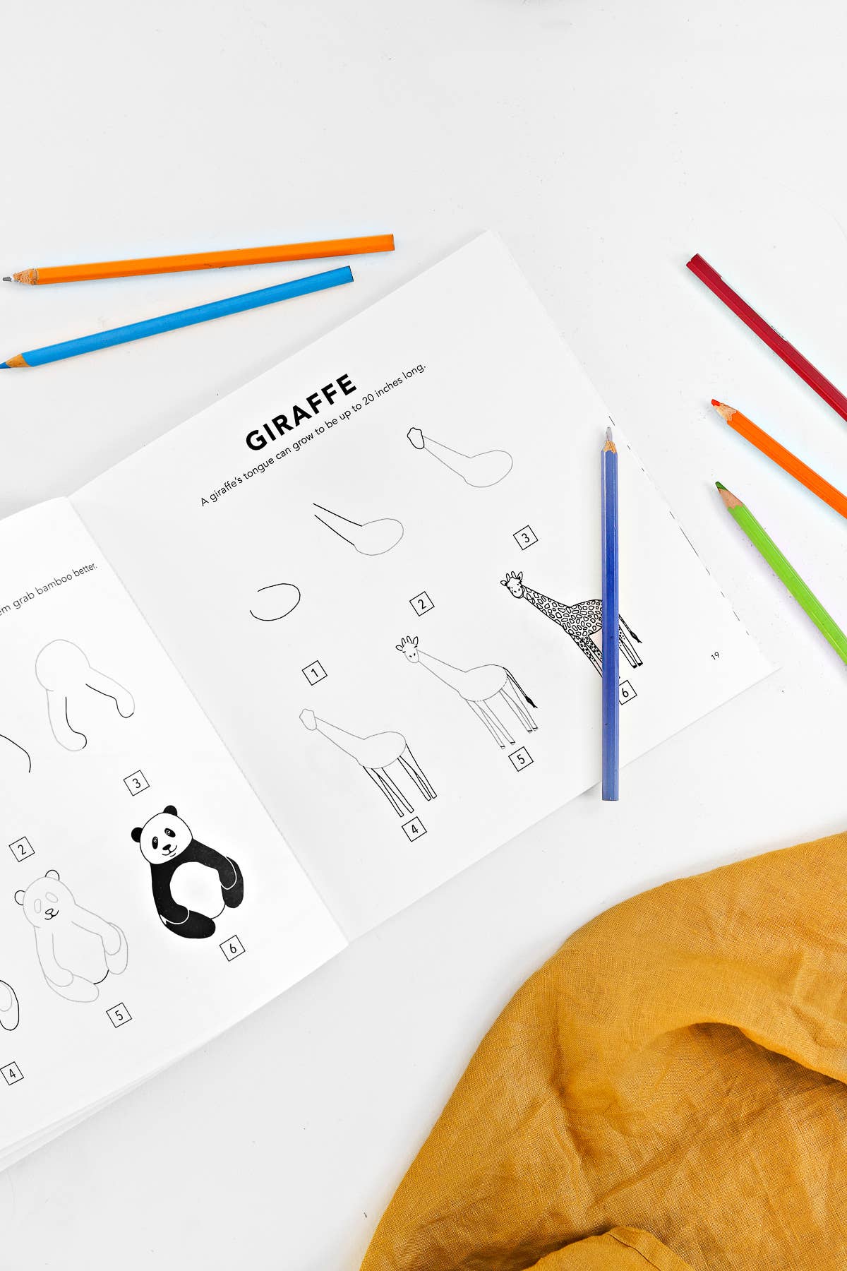 Paige Tate & Co. - All The Animals: A How to Draw Art Book for Kids