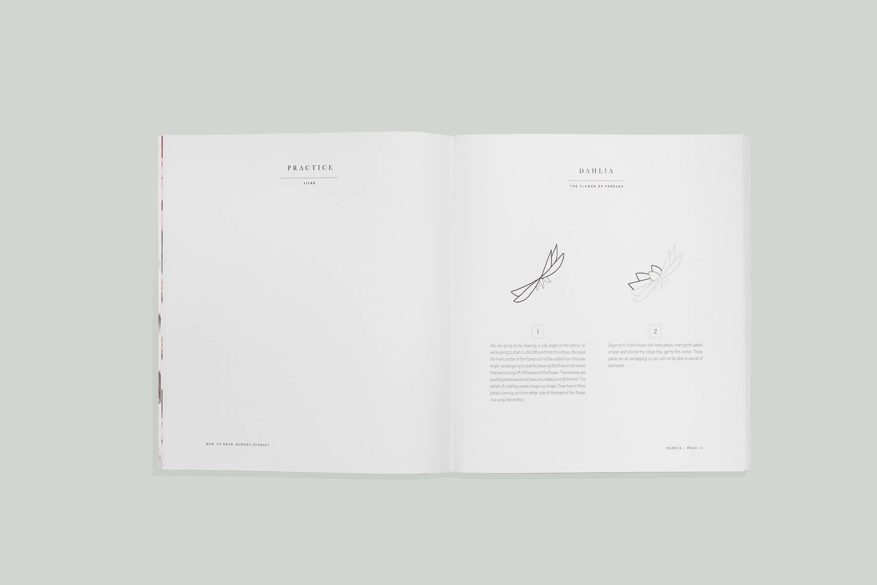 Paige Tate & Co. - How to Draw Modern Florals (Travel Size)