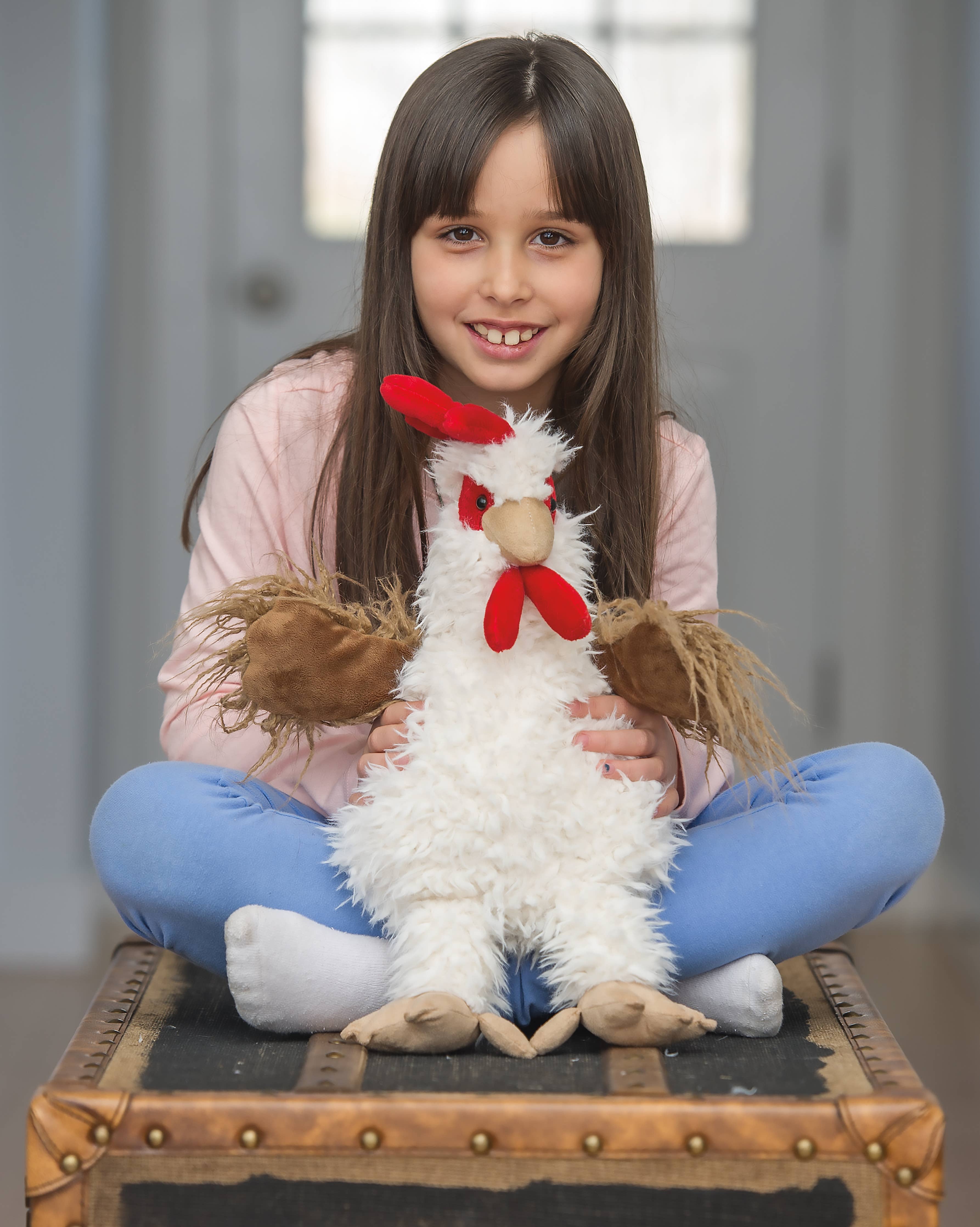 Mary Meyer - Fabfuzz Rooster