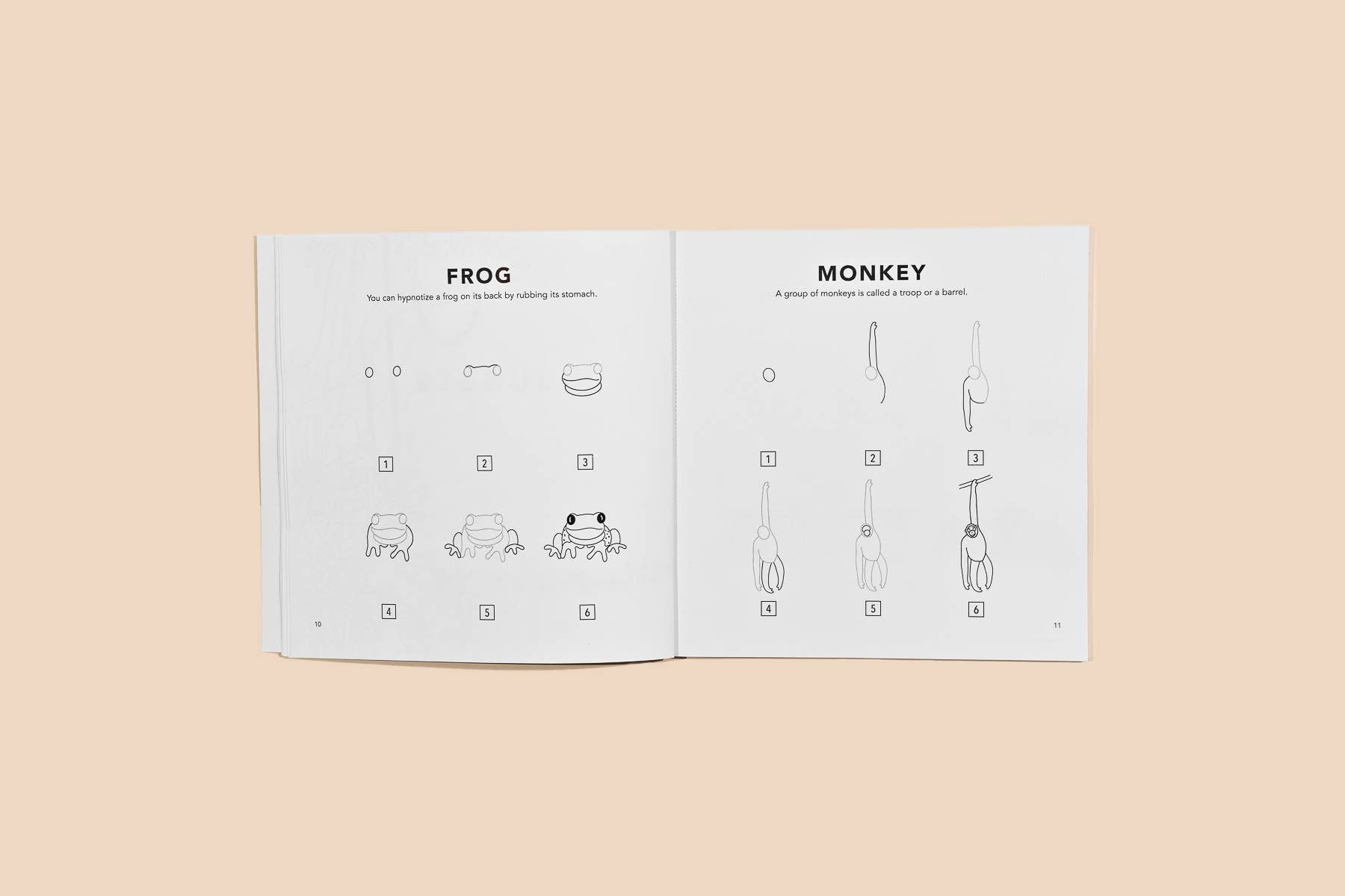 Paige Tate & Co. - All The Animals: A How to Draw Art Book for Kids