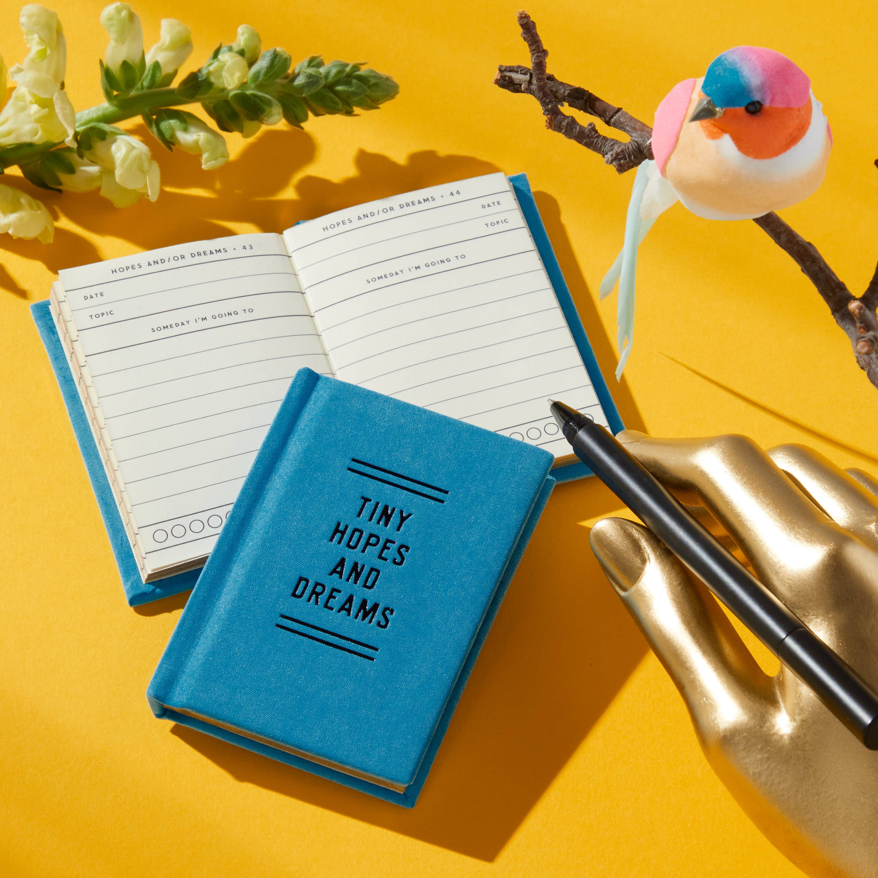 Chronicle Books - Brass Monkey Tiny Hopes And Dreams Tiny Diary