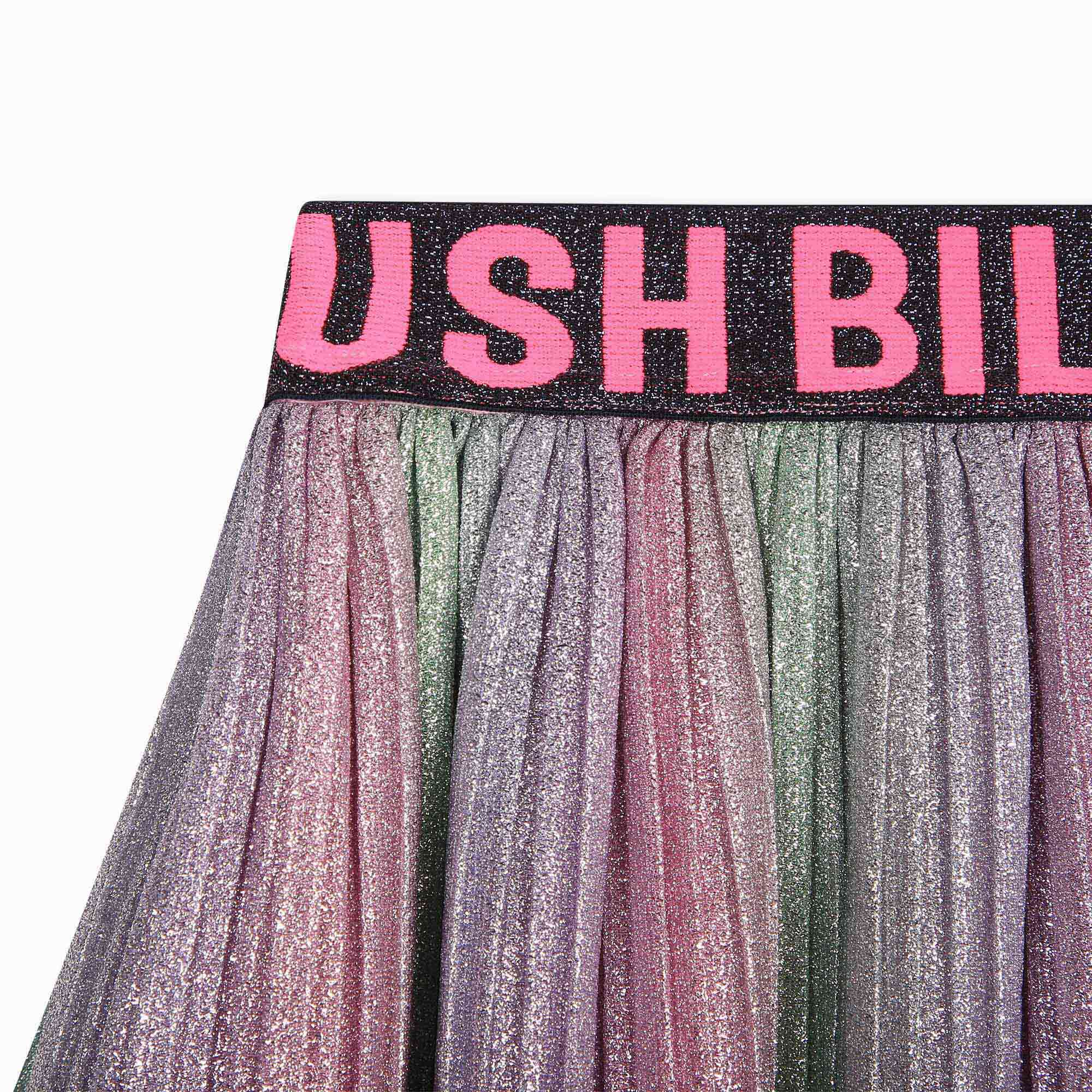 Multicolored Pleated Skirt