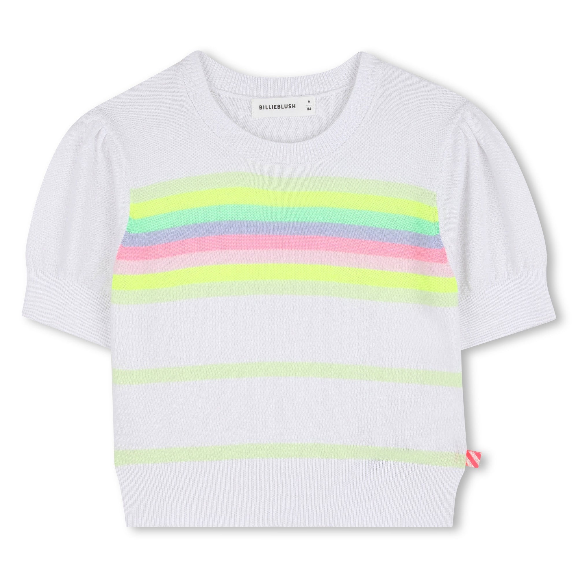 Embroidered Denim Shorts