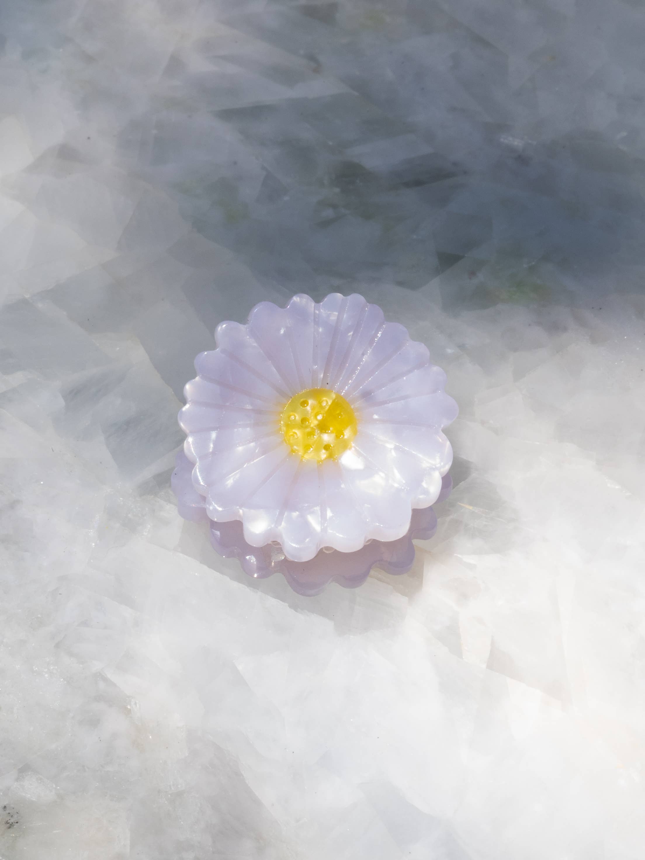 Haven - 🌼 Mini Daisy Hair Clips