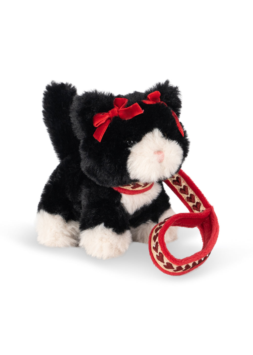 Pet Kitty - Black Beauty