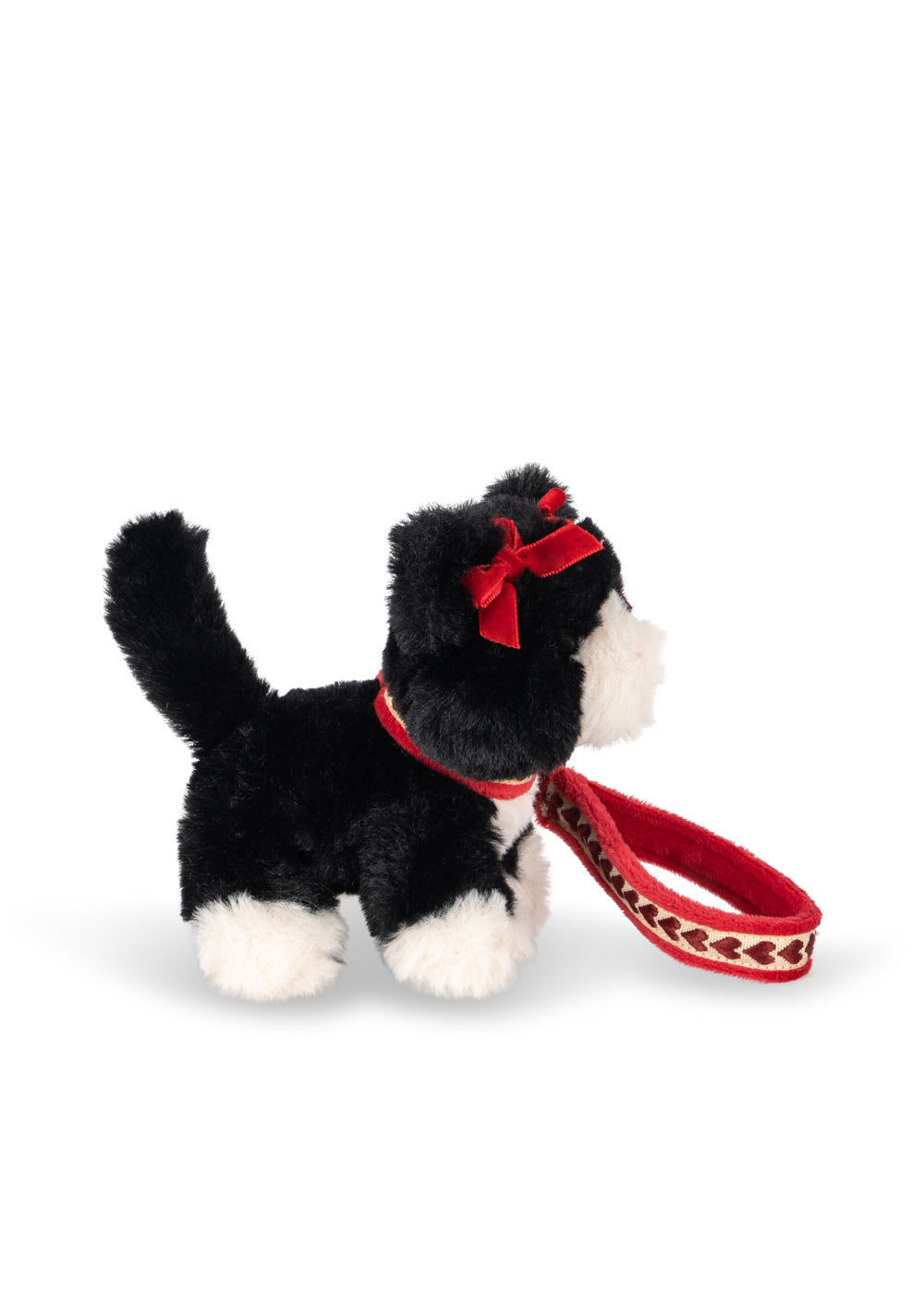 Pet Kitty - Black Beauty