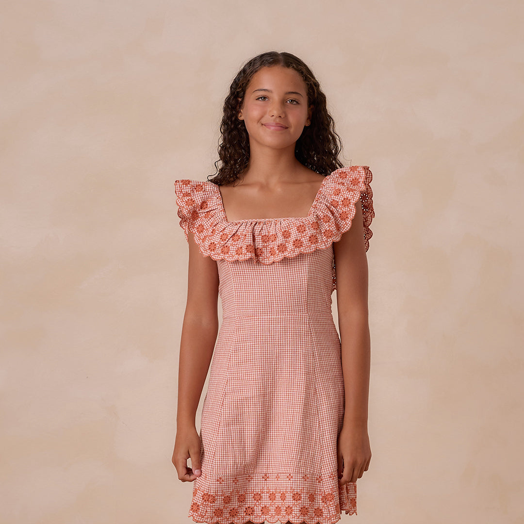 Bianca Mini Dress Poppy Gingham