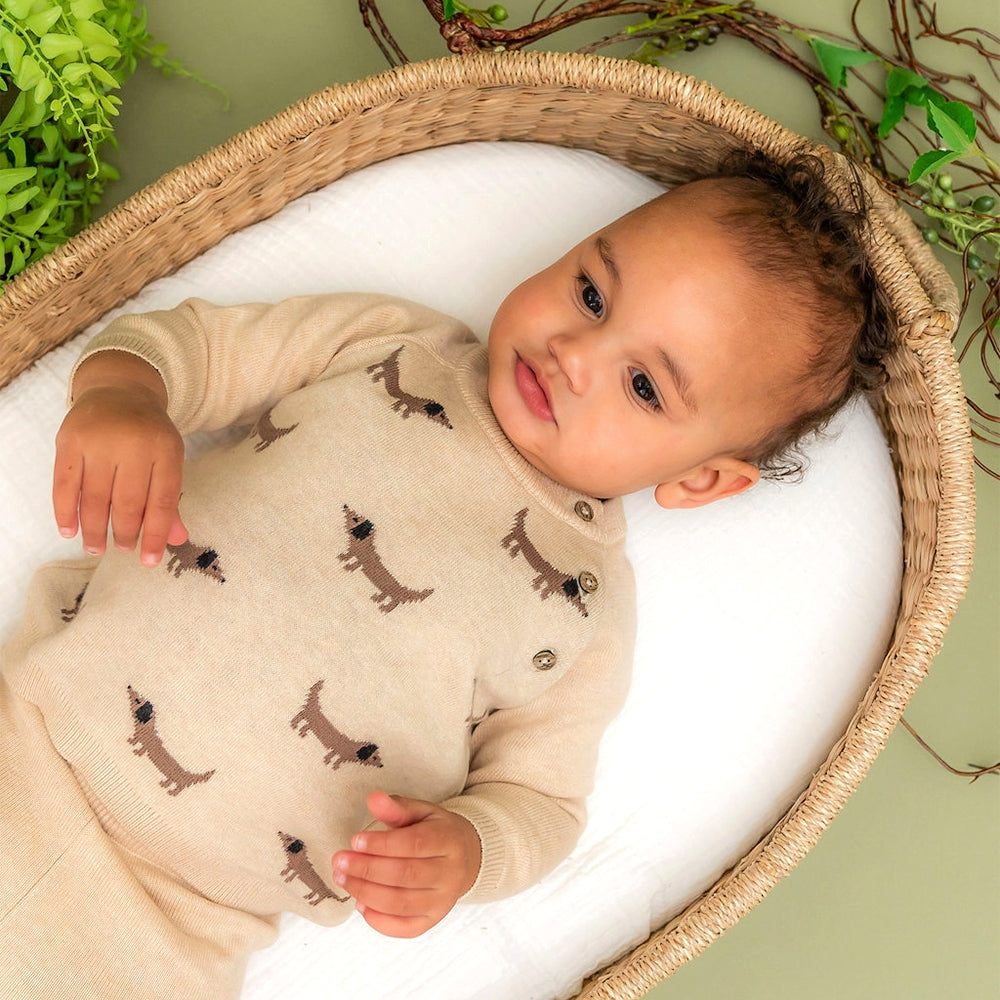 Doxie Dog Jacquard Knit Baby Raglan Pullover (Organic)