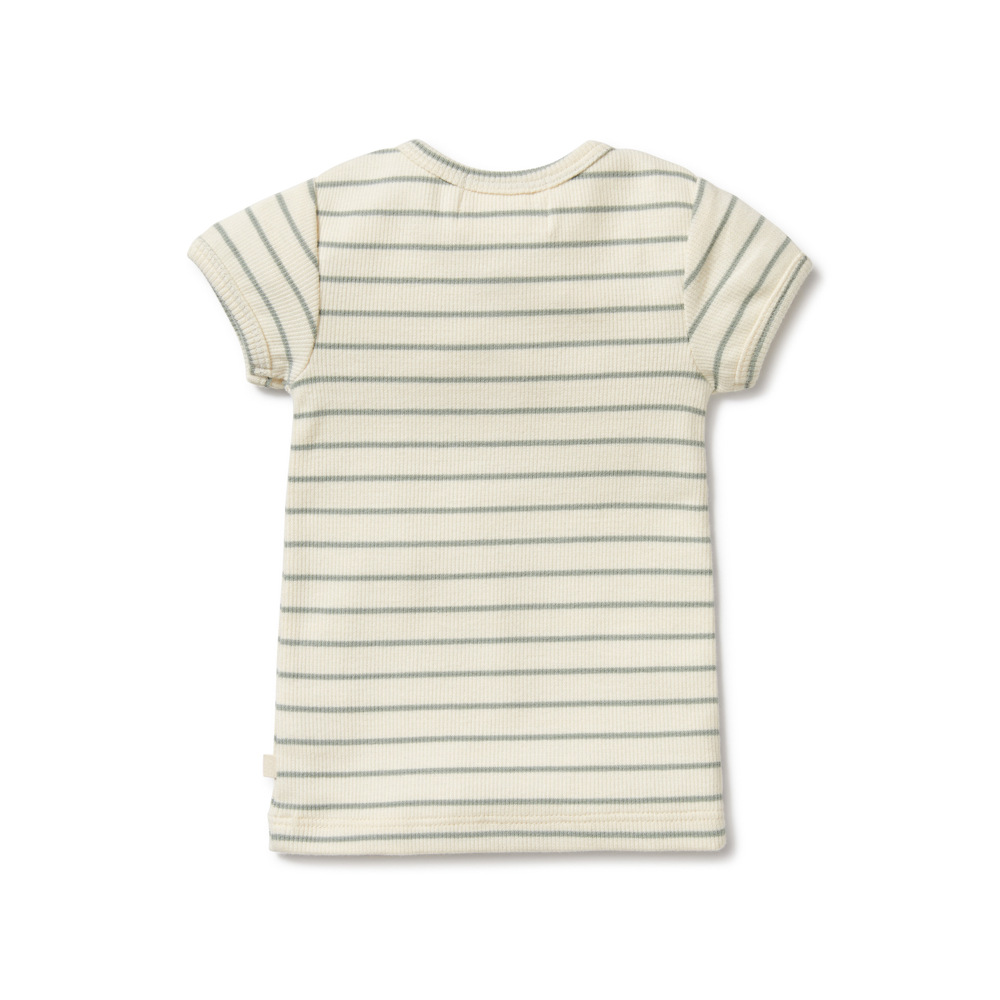 Petit Sage Organic Henley Tee