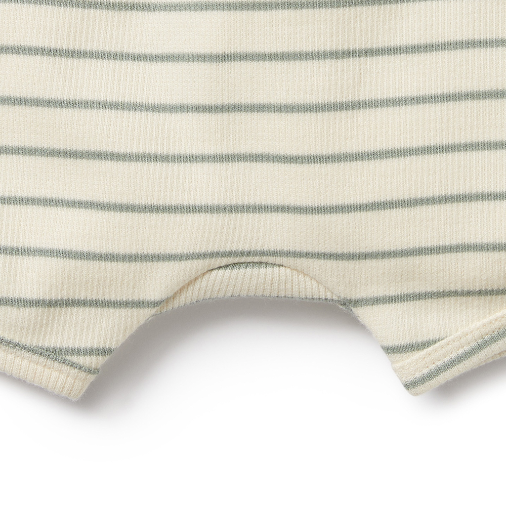 Petit Sage Organic Short