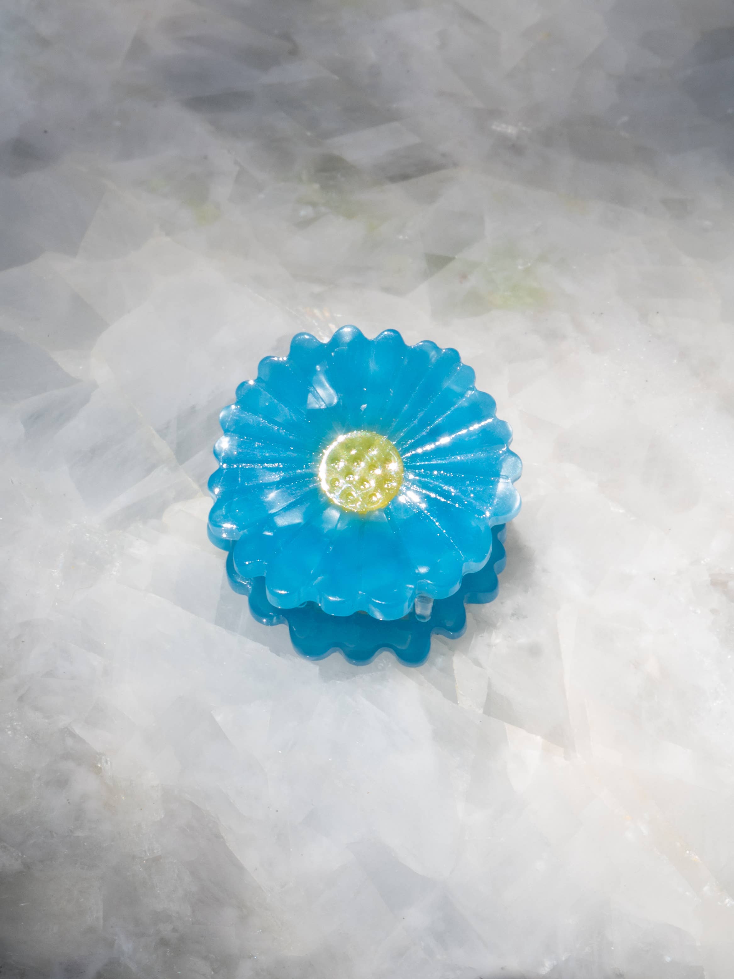 Haven - 🌼 Mini Daisy Hair Clips