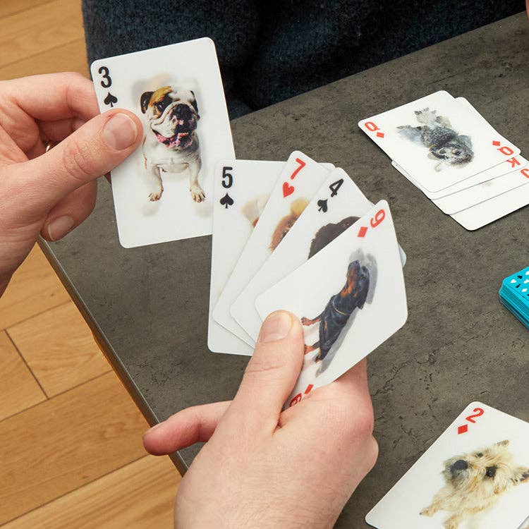 Kikkerland Design Inc - Playing Cards Dogs 3D