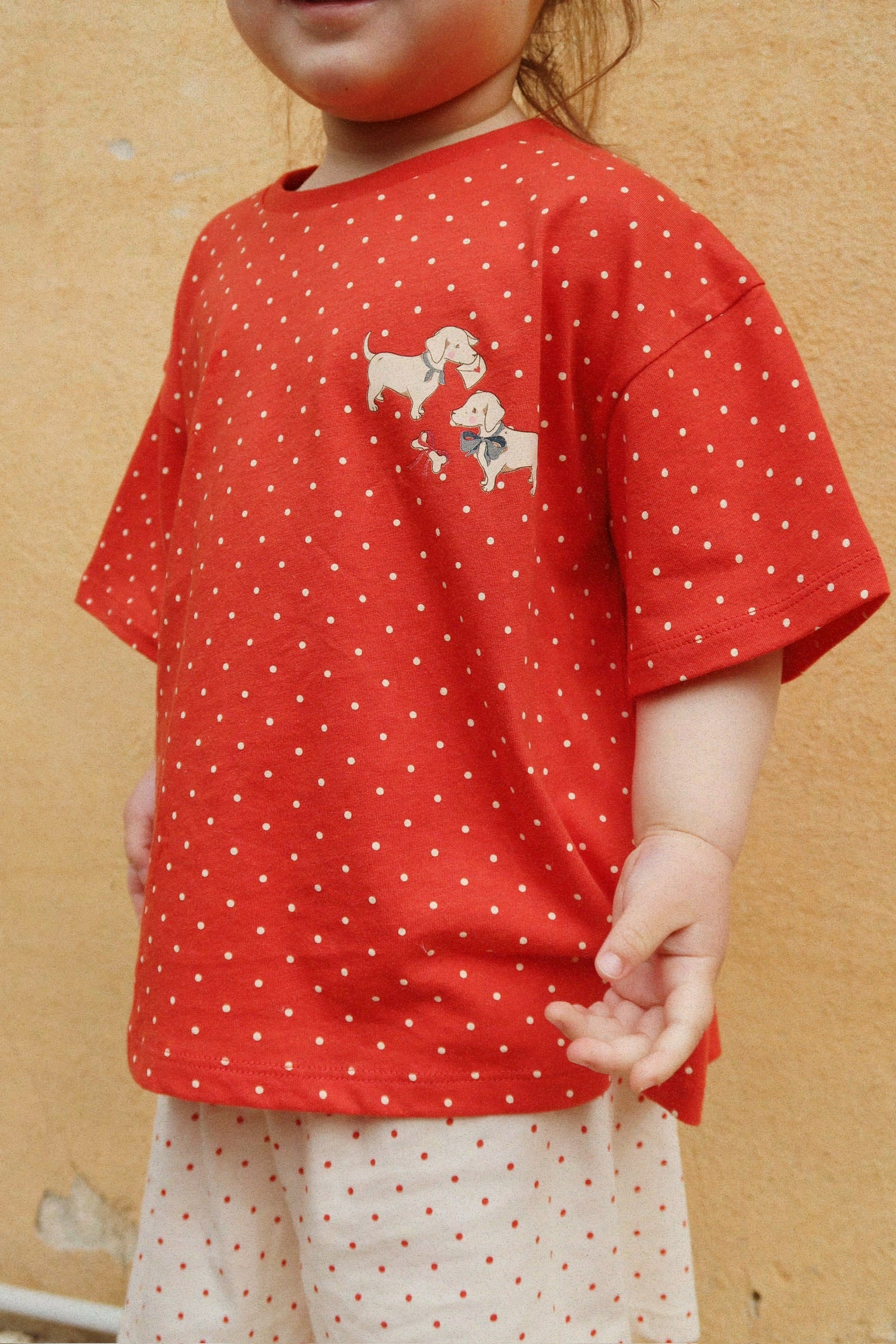 Famo Box Fit Set GOTS