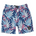 Feather 4 Arrow_Feather 4 Arrow Palm Daze Board Short_Bottoms