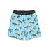 Feather 4 Arrow_Feather 4 Arrow Sea King Trunk (crystal blue)_Swim