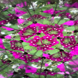 Huckleberry DIY Kaleidoscope
